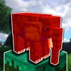 糖心TXO1OTV最新版
