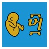 星光好剧